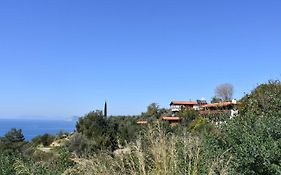 Casa Roja